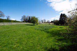 Photo 18- click for photo gallery